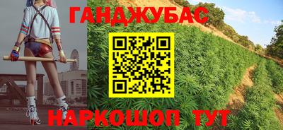 крисы Беслан