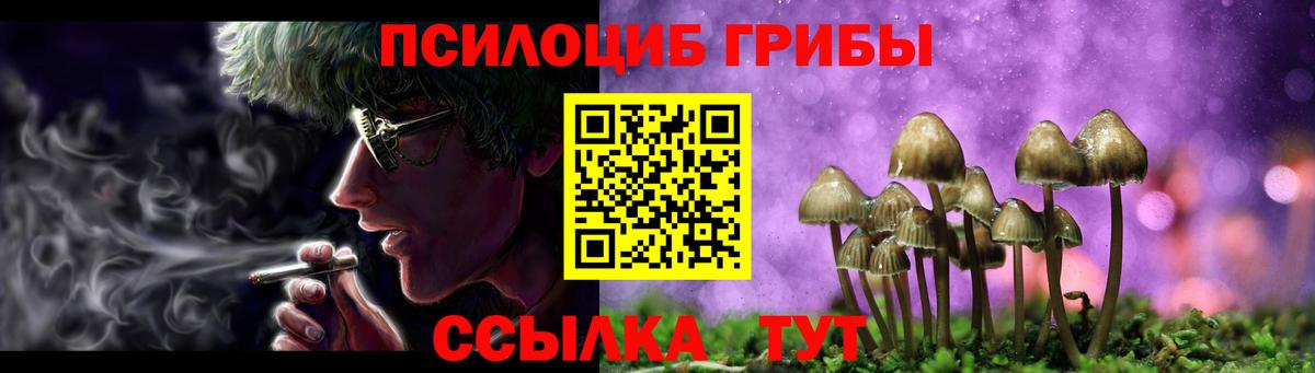 наркота  Вход с VPN  Псилоцибиновые грибы Cubensis  Когалым  Галлюциногенные грибы Cubensis 